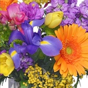 Meet your Posher, Anneyah